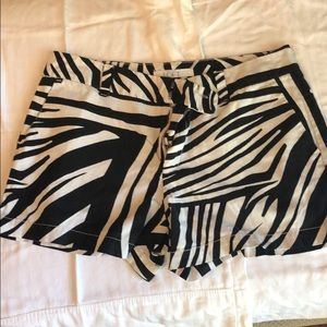 Zebra print Loft shorts